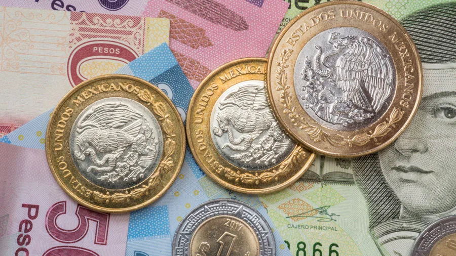 juicio civil ordinario daños erario público