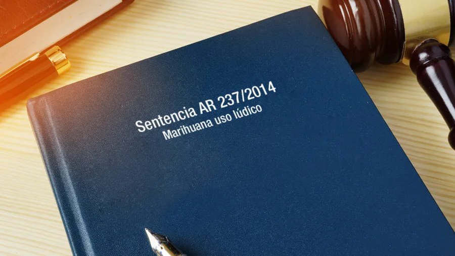 AR 237/2014 Marihuana uso lúdico. consumo marihuana fines lúdicos