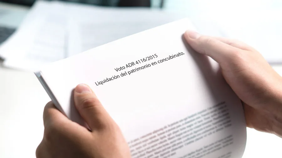 ADR 4116/2015 Liquidación del patrimonio en concubinato. LIQUIDACION DEL PATRIMONIO EN CONCUBINATO