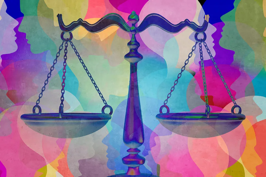 en defensa lenguaje incluyente